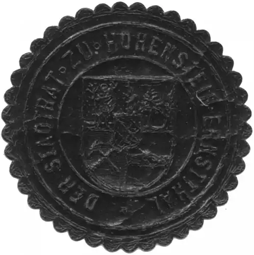 Der Stadtrat zu Hohenstein-Ernstthal