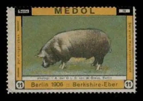 Medol