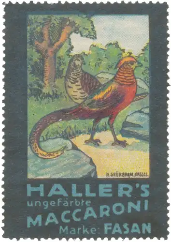 Hallers ungefÃ¤rbte Maccaroni Marke Fasan