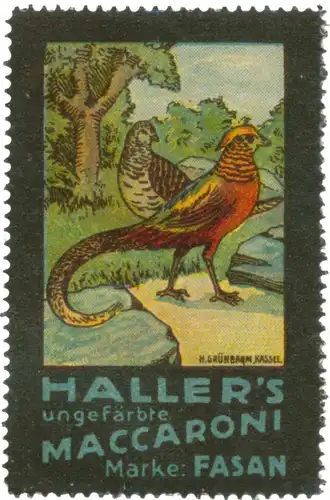 Hallers ungefÃ¤rbte Maccaroni Marke Fasan