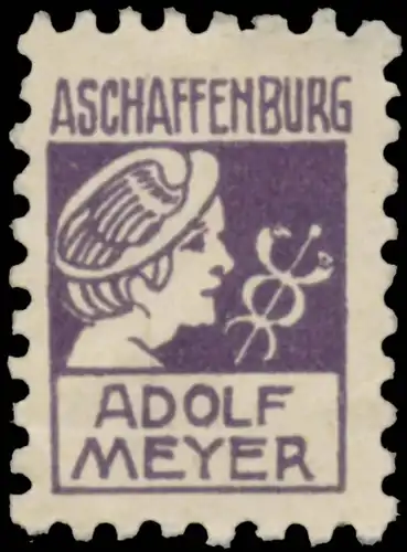 Adolf Meyer
