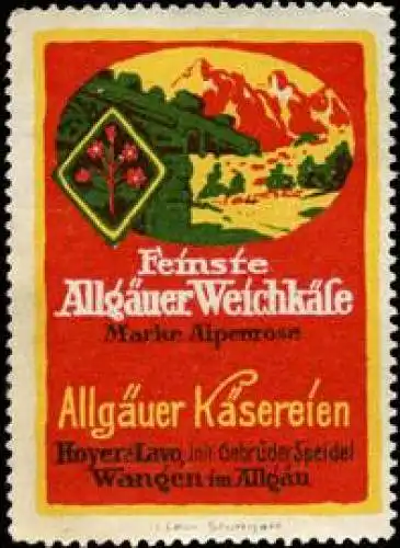 Feinste Allgäuer Käse