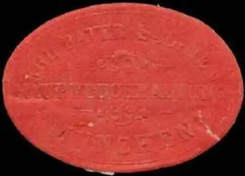 K. Bayer. Salinen-Hauptbuchhaltung