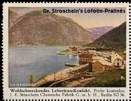 Lofotin-Pralines - Norwegen