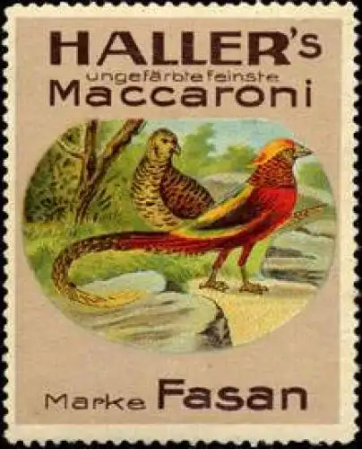 Hallers ungefÃ¤rbte feinste Maccaroni Marke Fasan