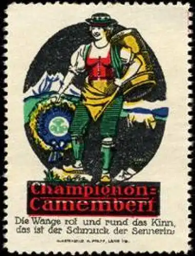 Champignon - Camembert KÃ¤se