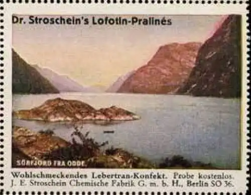 Lofotin-Pralines