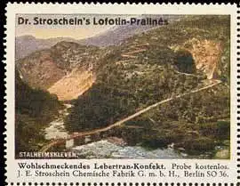 Lofotin-Pralines - Norwegen