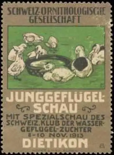 Junggeflügelschau der Ornithologen