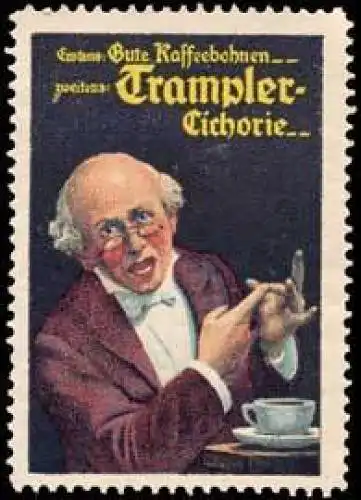 Trampler Cichorie