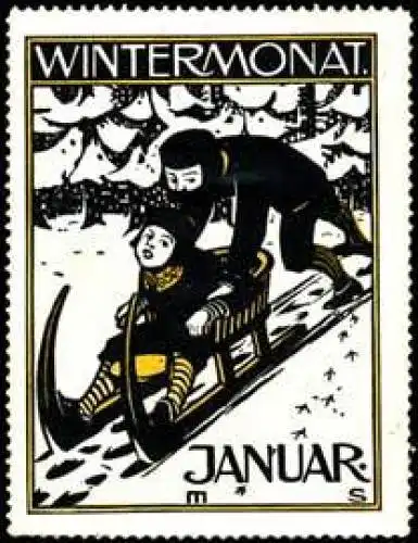 Wintermonat Januar