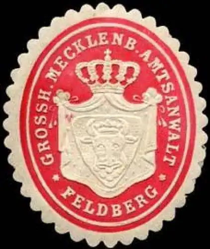 Grossherzoglich Mecklenburgischer Amtsanwalt - Feldberg