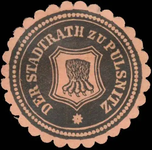 Der Stadtrath zu Pulsnitz