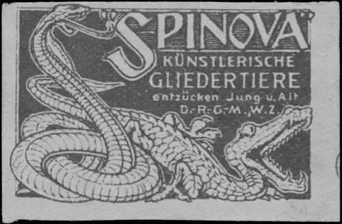 Spinova Spielzeug Gliedertiere