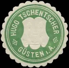 Hugo Tschentscher GÃ¼sten i.A