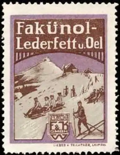 FakÃ¼nol-Lederfett fÃ¼r Ski-Sport