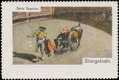 Stiergefecht - Stierkampf