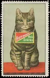 Katze