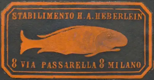 Fisch-Fabrik H.A. Heberlein