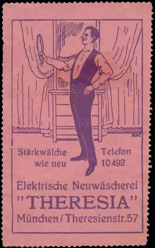 Elektrische NeuwÃ¤scherei Theresia