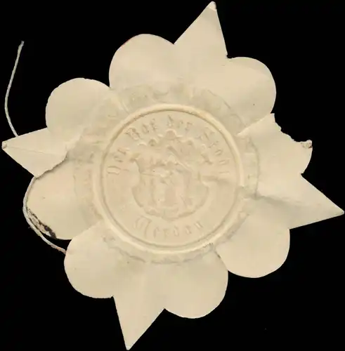 Der Rat der Stadt Werdau