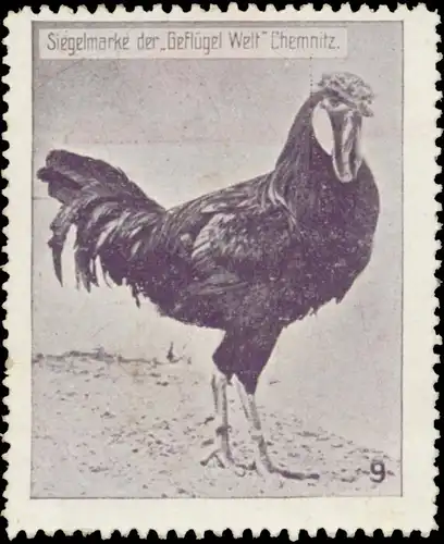 Hahn