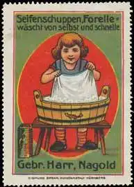 Seifenschuppen Forelle