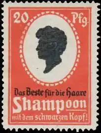 Das Beste für die Haare Shampoon