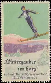 Winterzauber im Harz