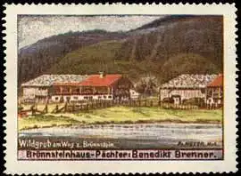 Wildgrub am Weg zu Brünnstein