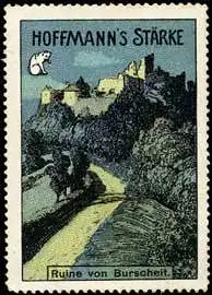 Ruine von Burscheit - StÃ¤rke mit Katze