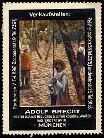 Erstklassige Bezugsquelle fÃ¼r Kolonialwaren und Brotfabrik