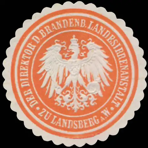 Der Direktor der Brandenb. Landesirrenanstalt zu Landsberg an der Warthe