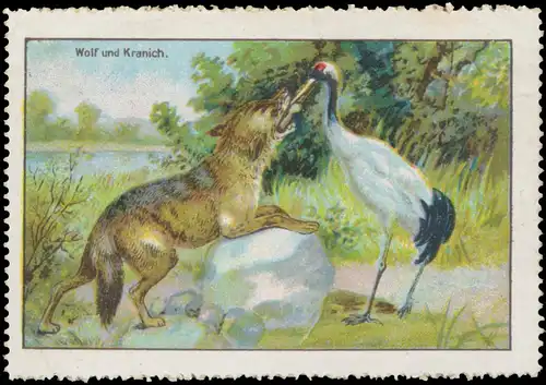 Wolf und Kranich