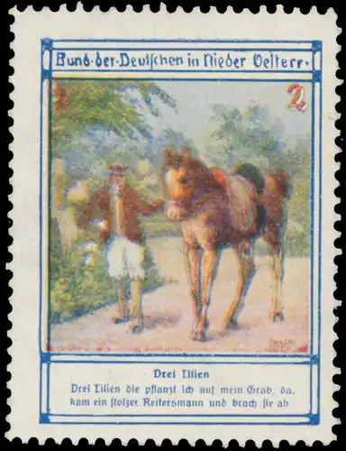 Drei Lilien