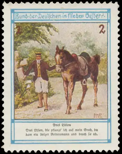 Drei Lilien