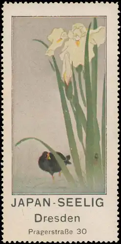 Japan Seelig