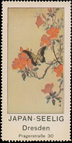 Japan Seelig