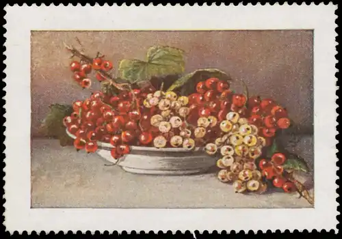 Johannisbeeren