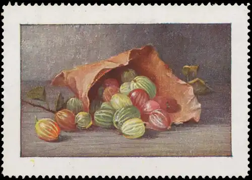 Stachelbeeren