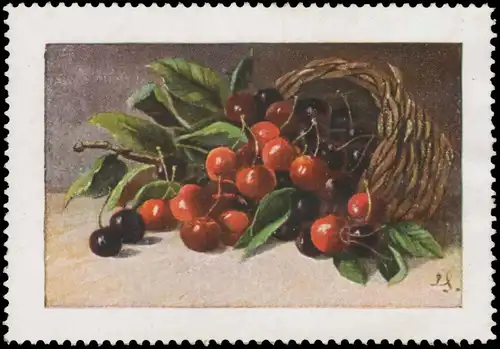 Kirschen