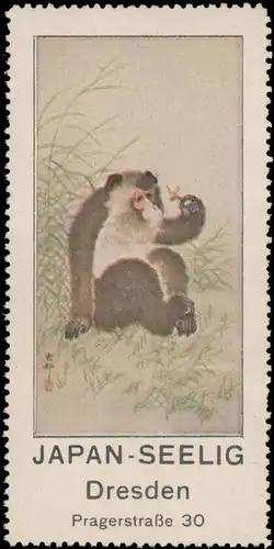 Japan Seelig
