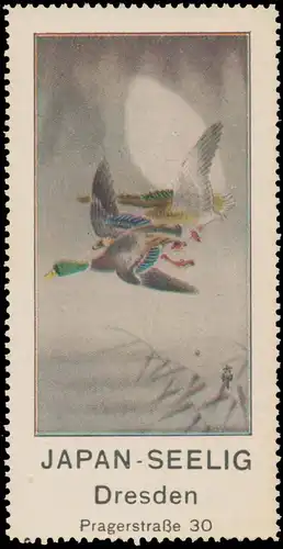 Japan Seelig