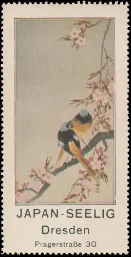 Japan Seelig