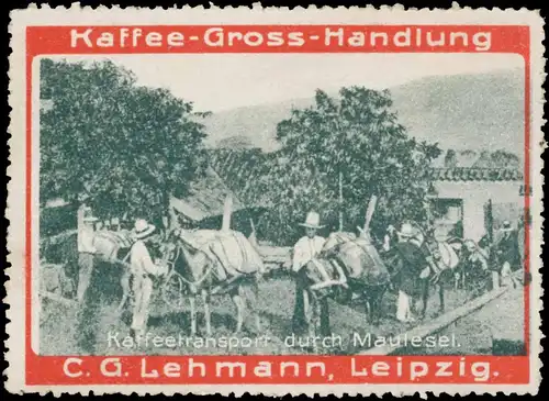 Kaffeetransport durch Maulesel