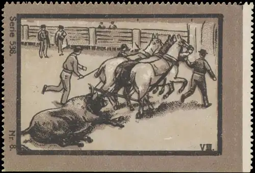 Stierkampf
