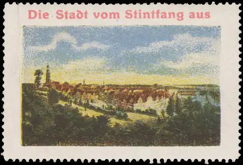 Die Stadt vom Stintfang aus