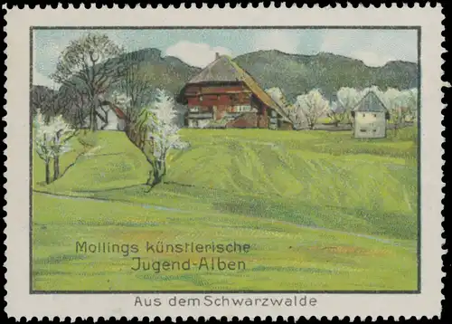 Aus dem Schwarzwalde