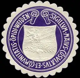 Sigillum - Maius - Cosulatus - Et - Comunitatis - Opidi - Weiden