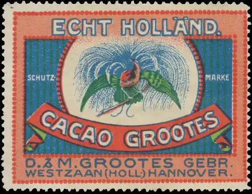 Echt hollÃ¤ndischer Cacao